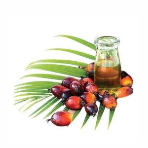 Palm Kernel Oil