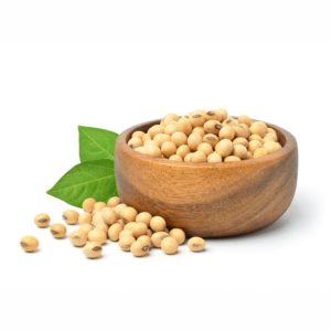 Soy Beans